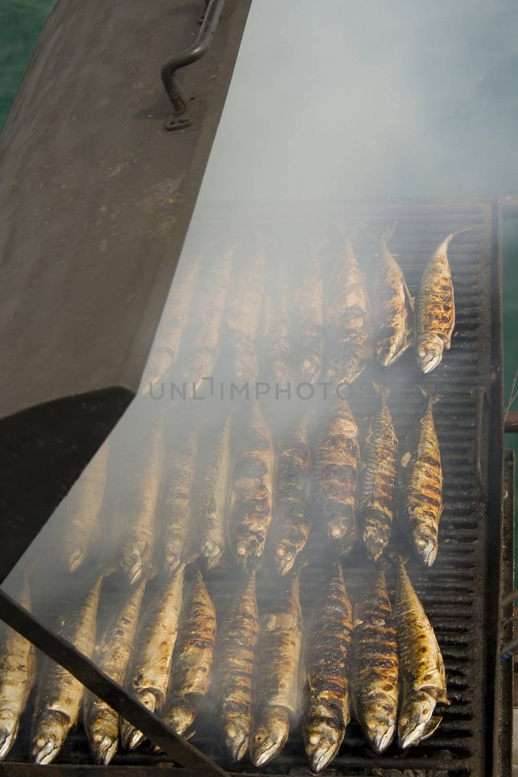 fish on barbeque