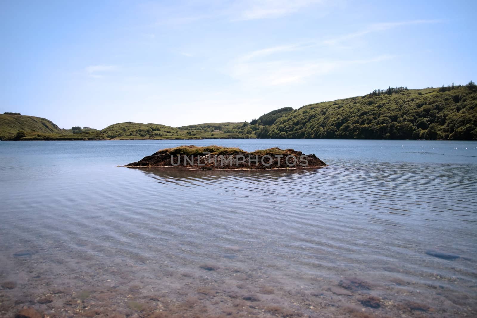 an island on an irish lake in summer