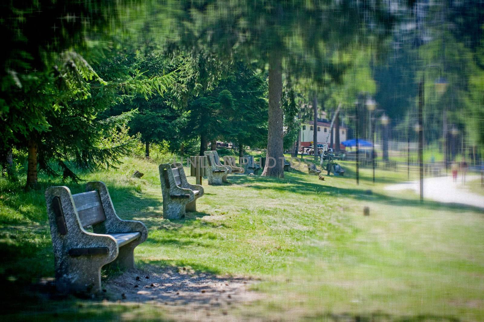 Benches in park with blurred stars filter- Grain intentional