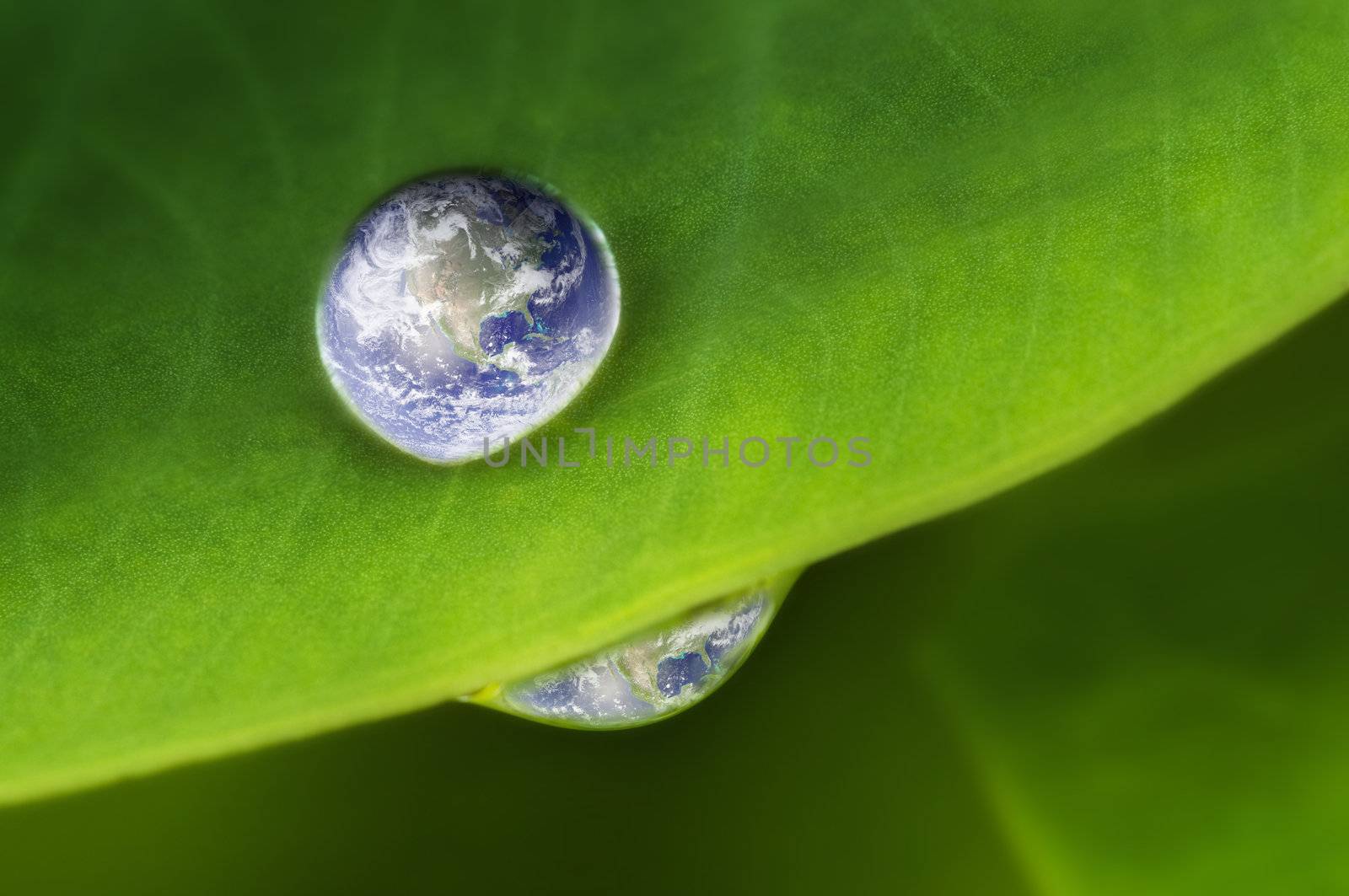 Planet earth waterdrop on lotus leaf. Earth picture credit to: http://visibleearth.nasa.gov