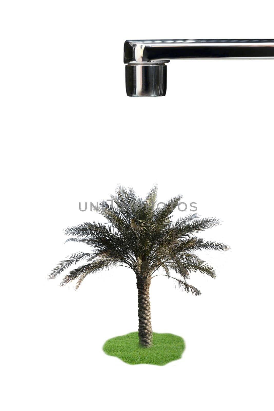 Concept faucet with palm tree by EugenP
