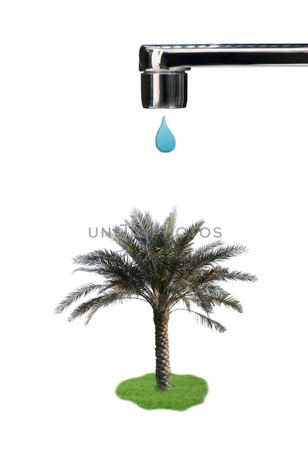 Faucet with water drop and palm tree