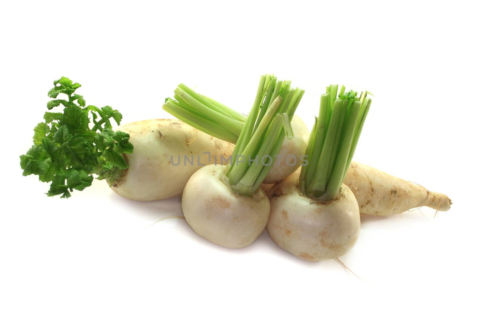 different varieties of radish against a white background