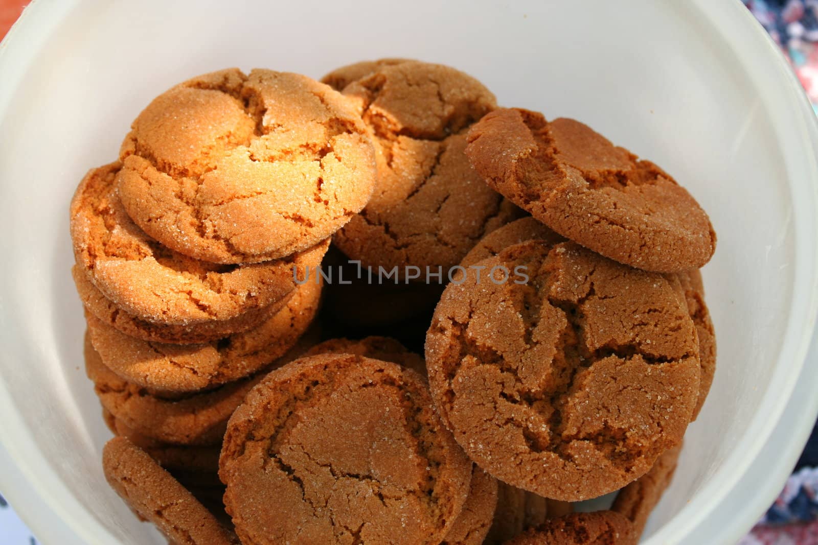 Ginger snaps at Farmer's market