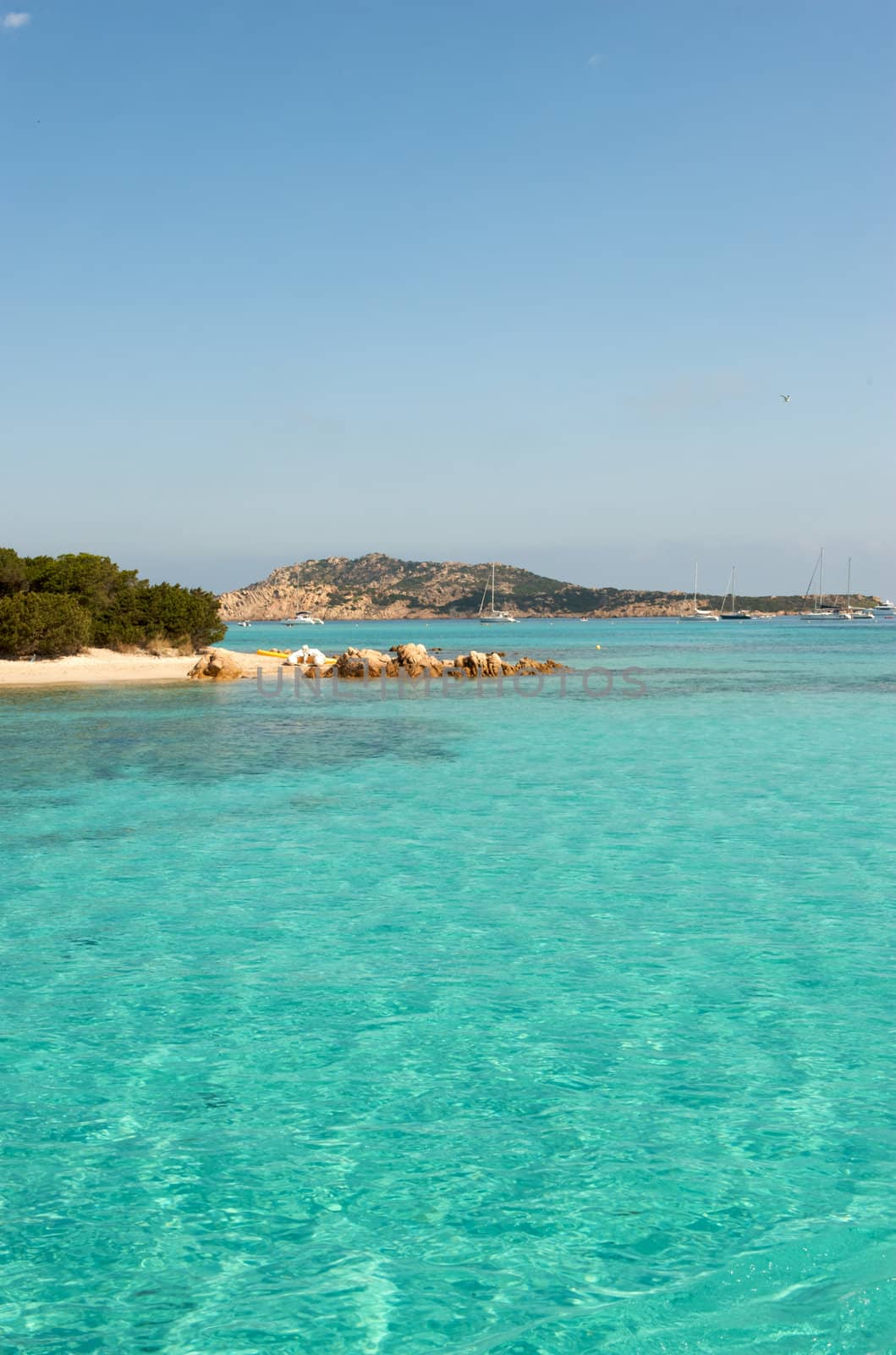 Wonderful paradise beach in Maddalena, Sardinia, Italy