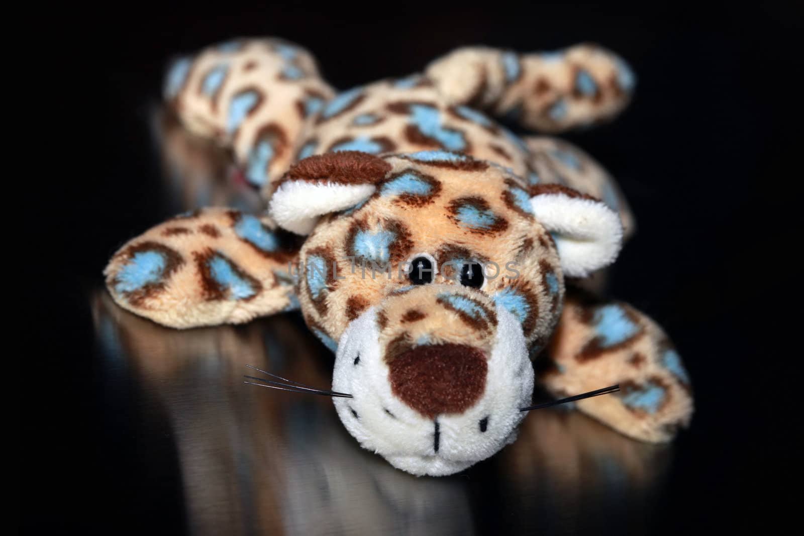 Cuddly leopard toy isolated on black background
