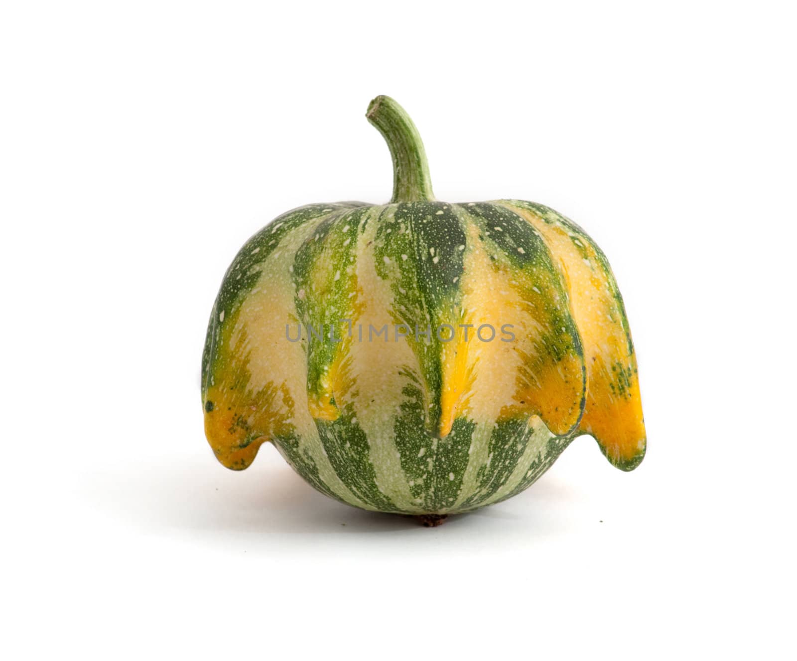 fresh miniature decorative pumpkins on white background