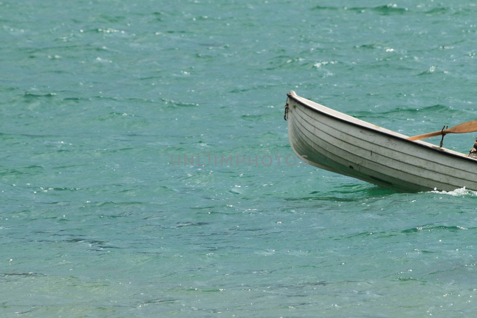 sailing fast on a little lake in north Italy, Novate Mezzola Lake