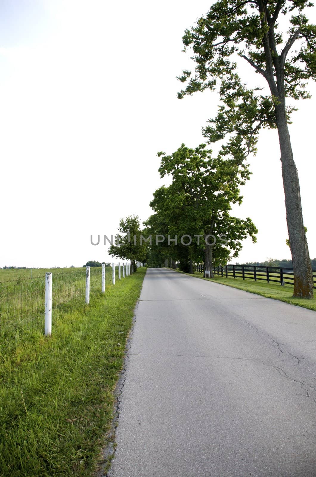 Kentucky Country Road