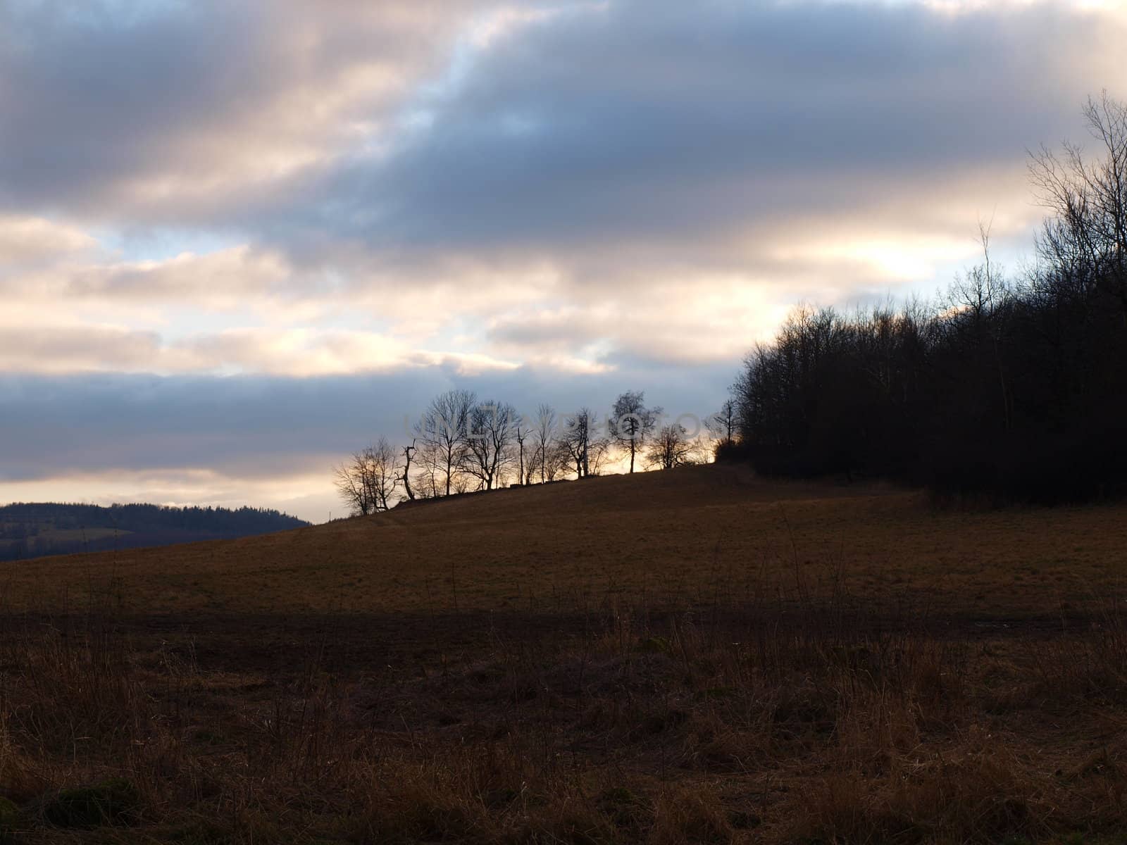 the winter landscape by renales