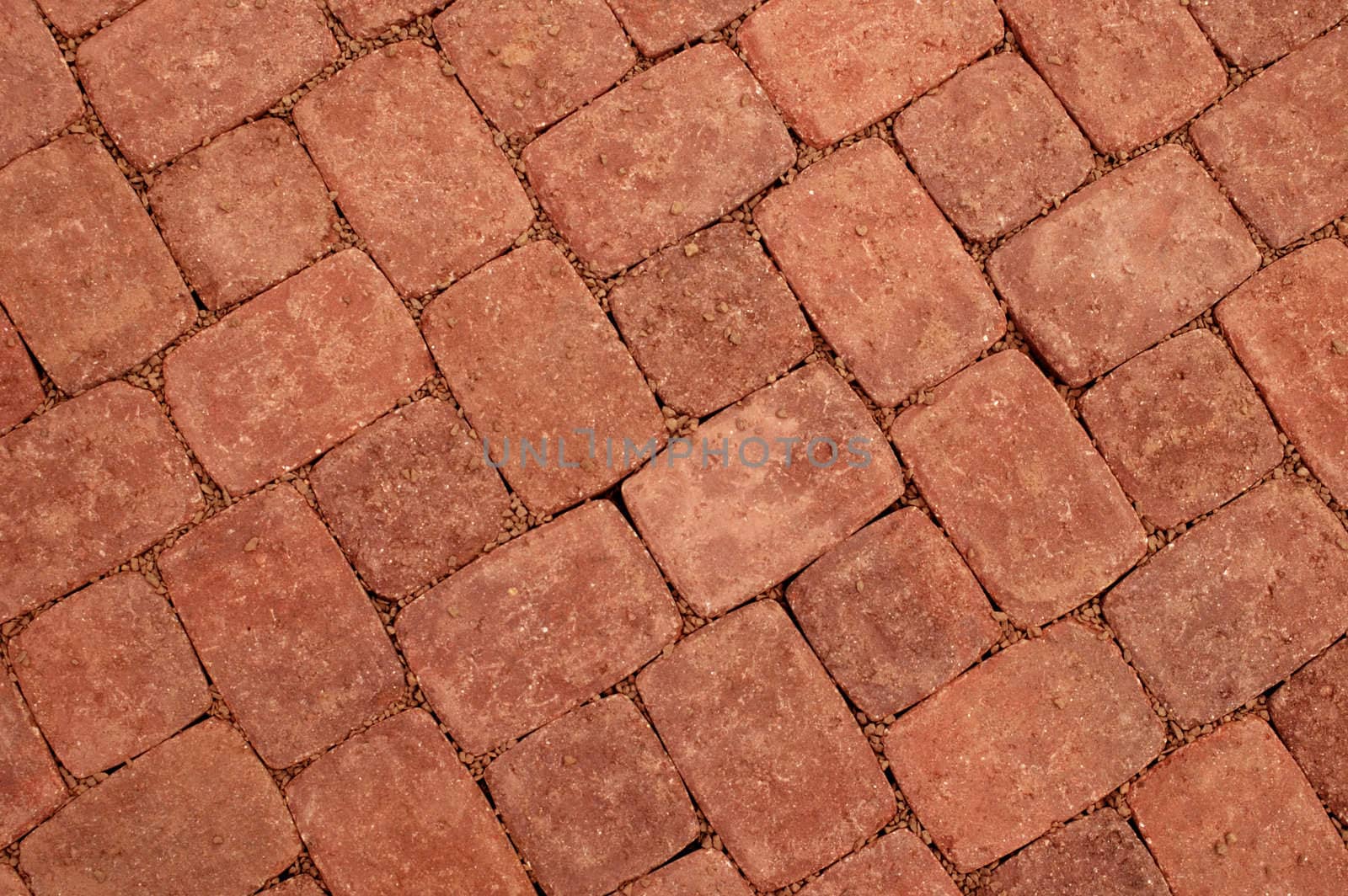 Close up of new brick paving in a yard. Suitable as background.