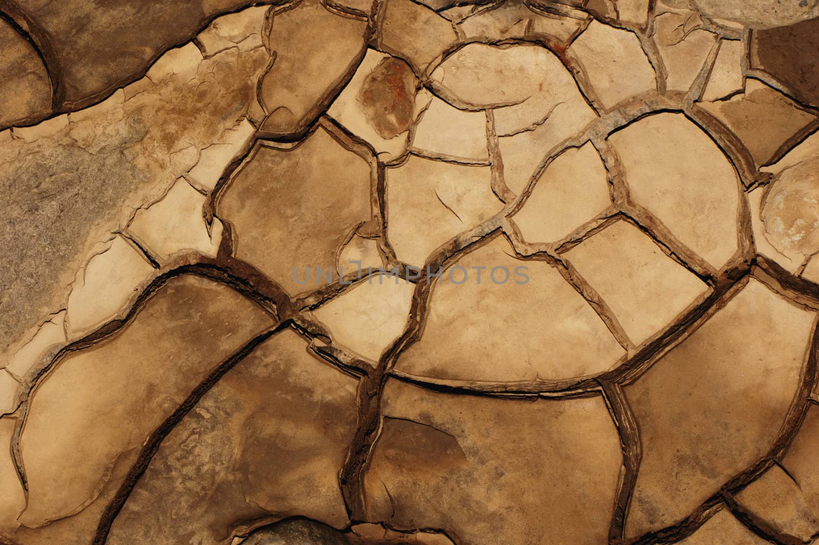 Close-up abstract of cracked mud on a tidal river shore. Suitable as abstract, patterned background.