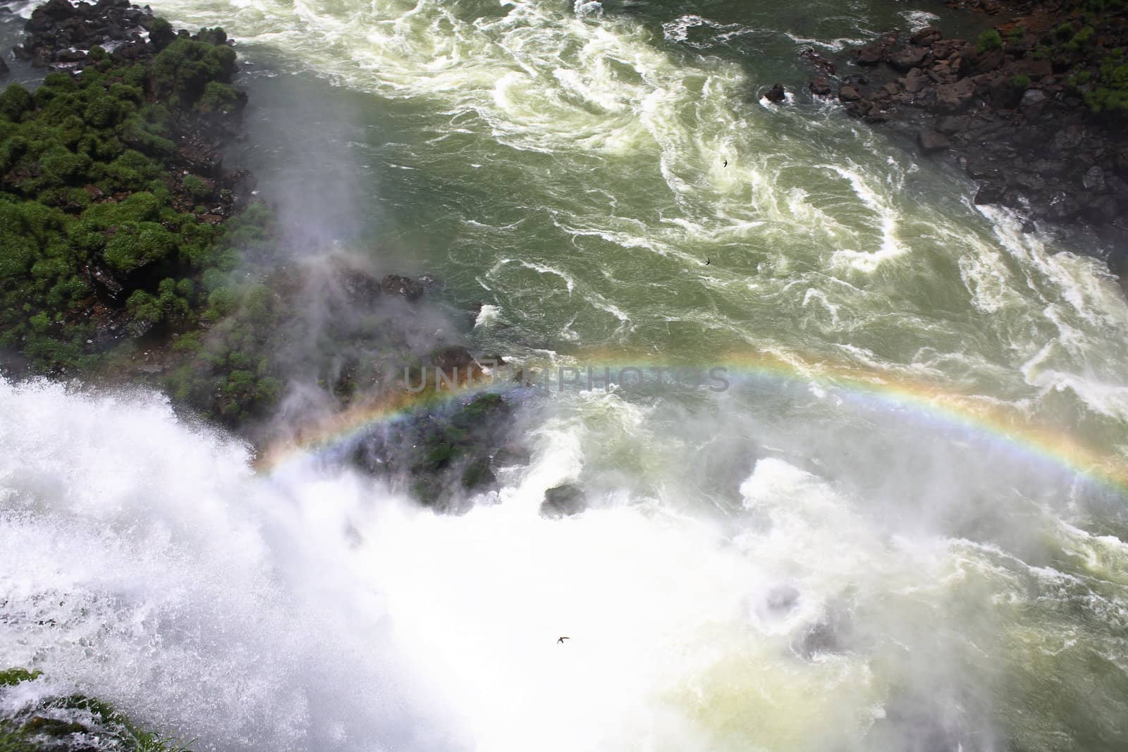 The Iguassu (or Iguazu) Falls is one of the largest masses of fresh water on the planet and divides, in South America, Brazil, Paraguay and Argentina. The waterfall system consists of 275 falls along 2.7 kilometres (1.67 miles) of the Iguazu River. Some of the individual falls are up to 82 metres (269 feet) in height, though the majority are about 64 metres (210 feet).