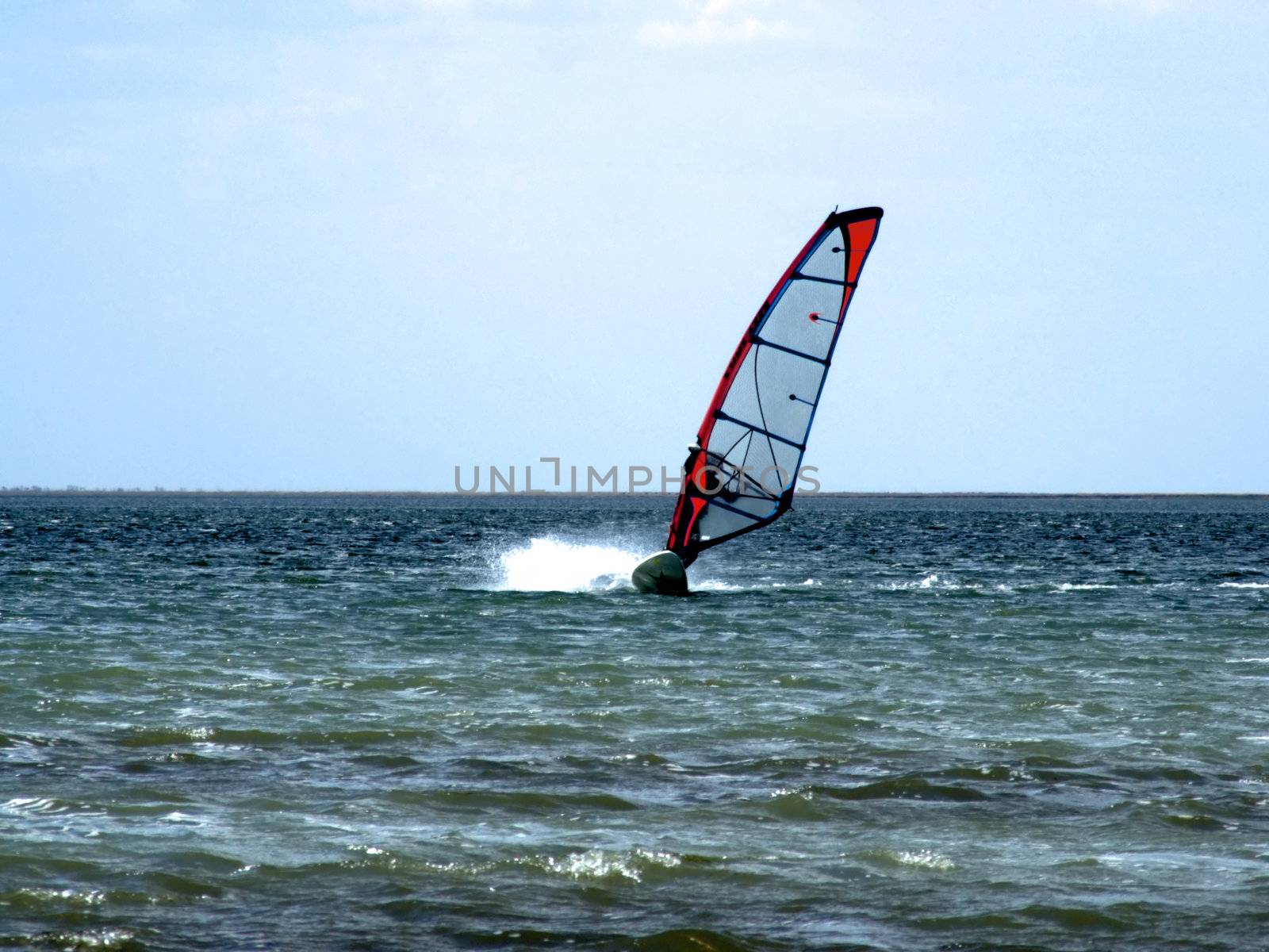 windsurfer on waves of a gulf in the afternoon