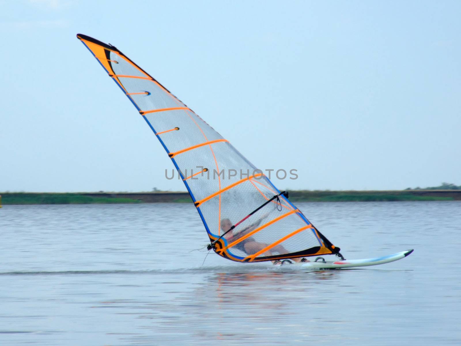 windsurfer on waves of a gulf in the afternoon