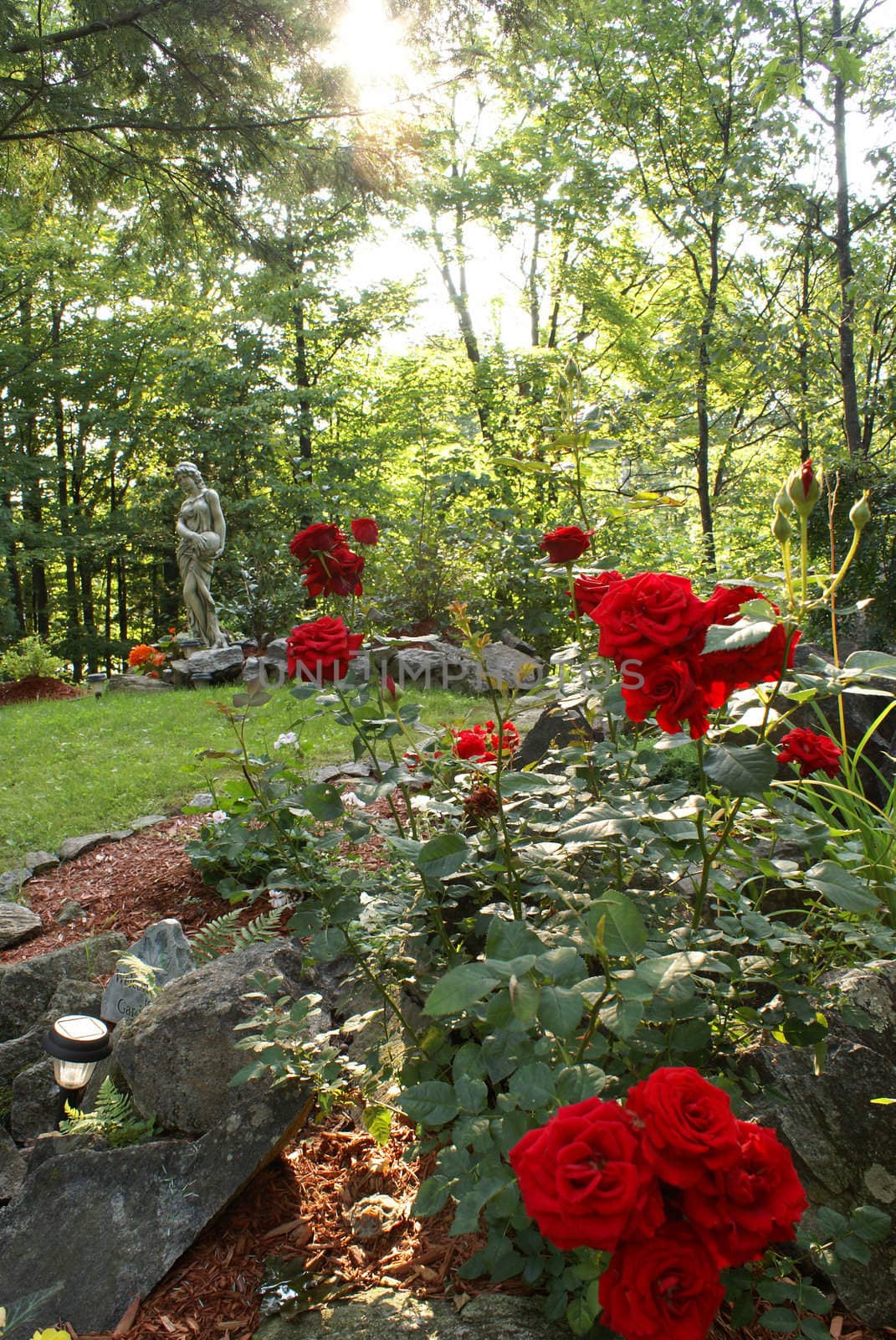 A beautfil garden with a rose bush in the front and a statue in the background.