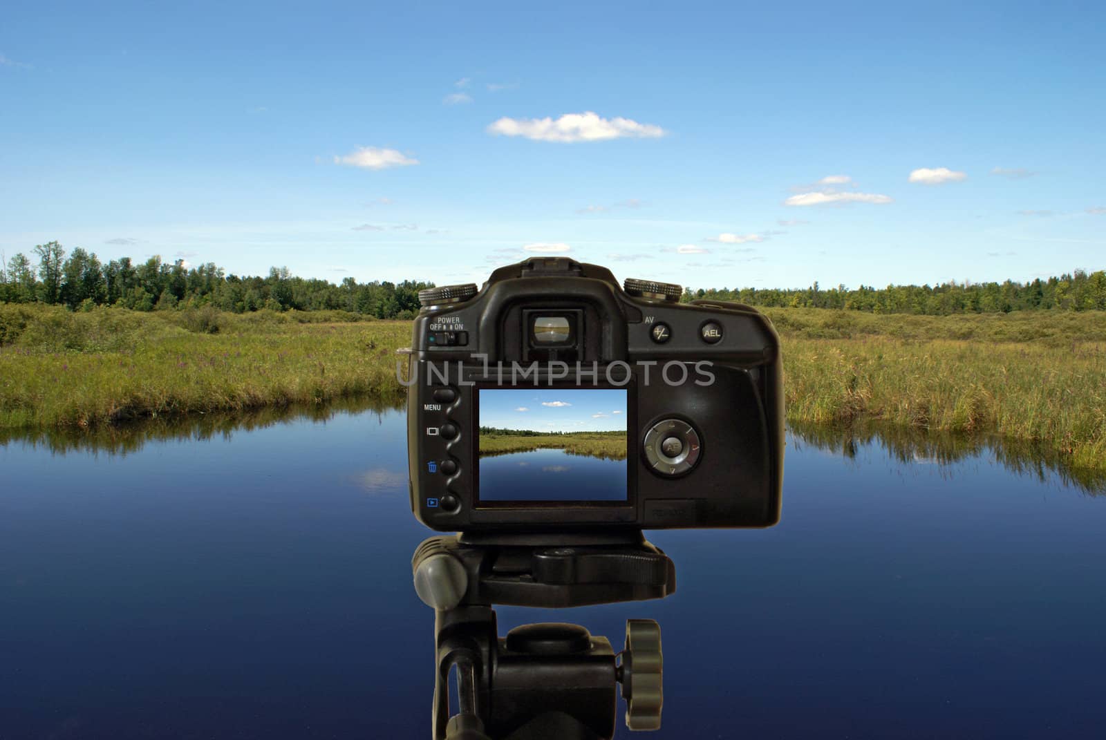 A digital camera is taking a picture of a beautiful landscape.