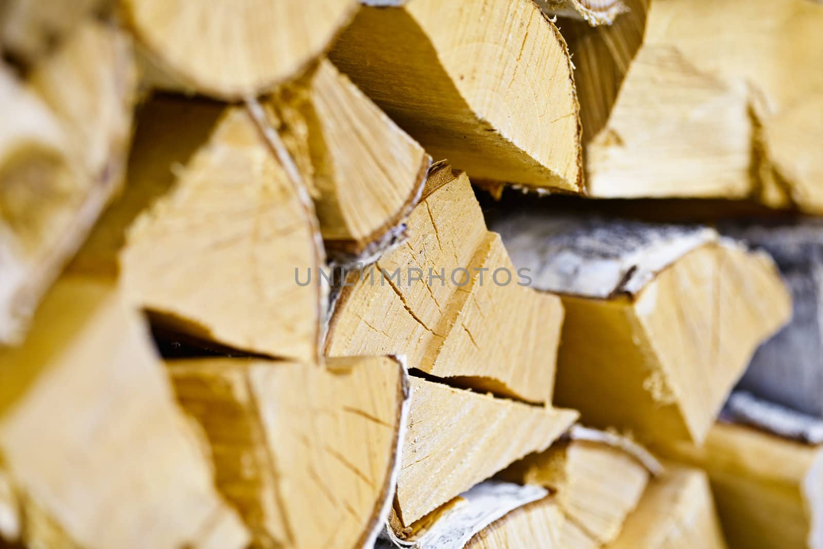 Birch logs are in the woodpile close up