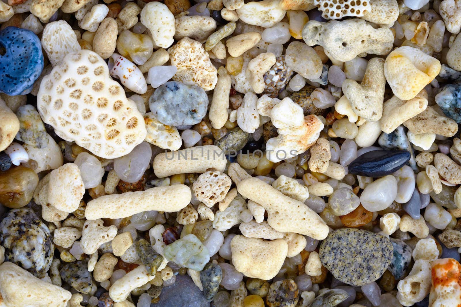 Small fragments of shells and coral on a tropical beach - background