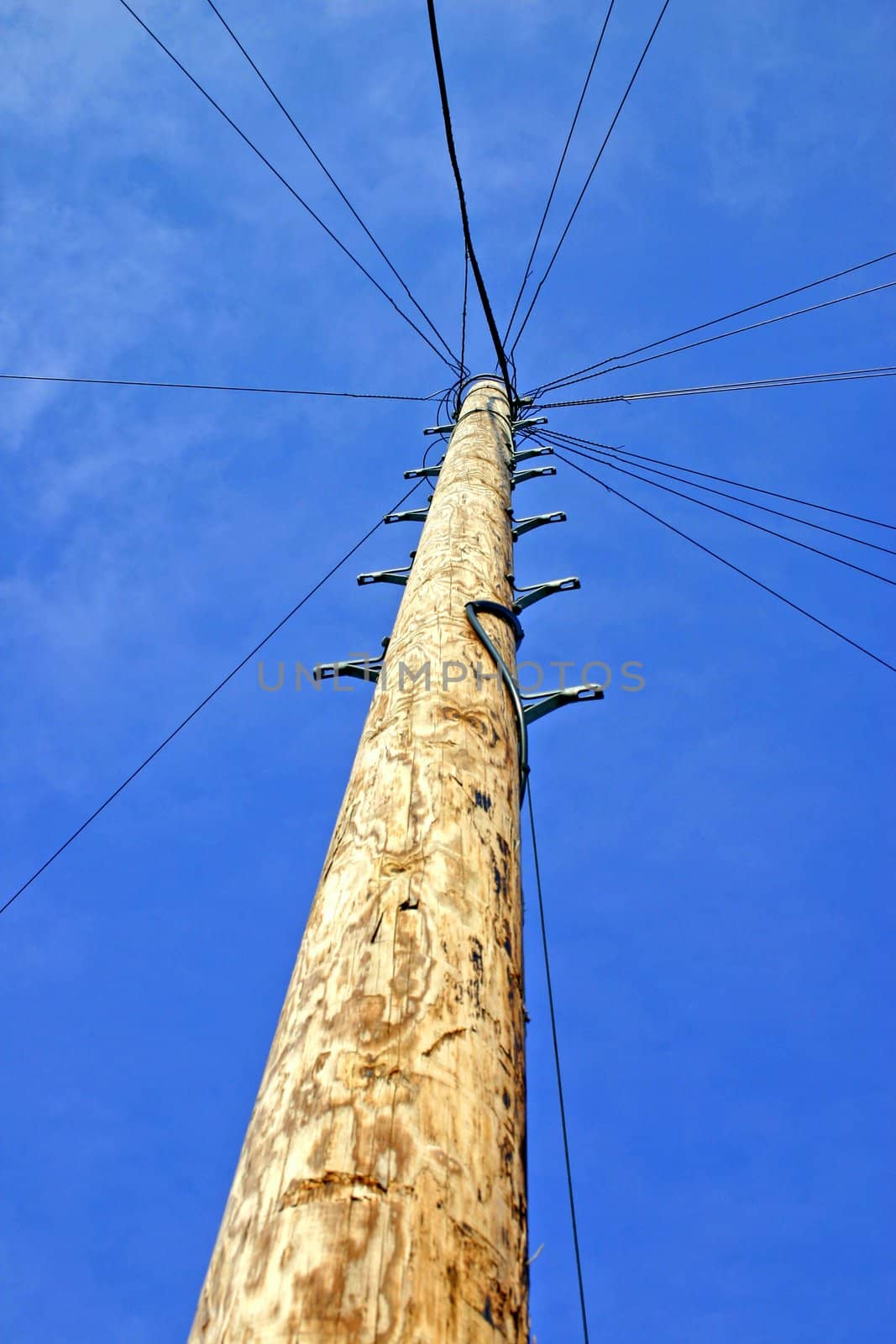 Telegraph Pole by green308