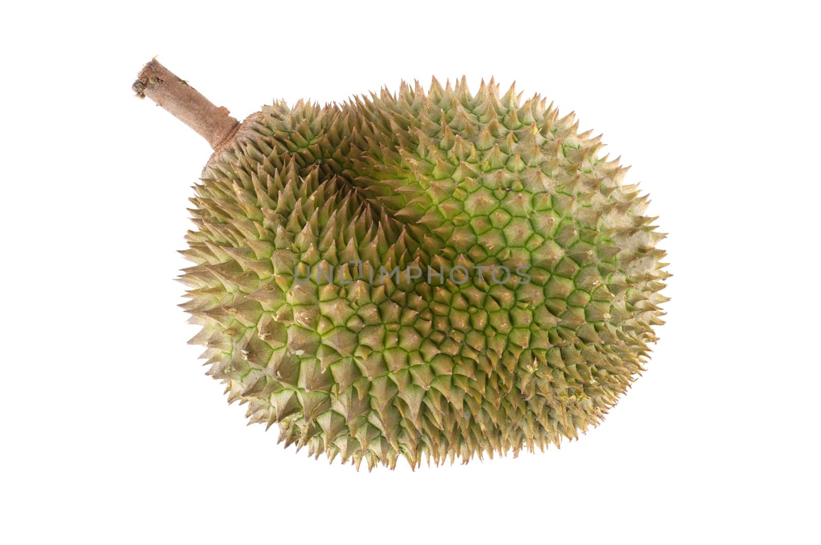 Tropical fruit - Durian isolated on white background.