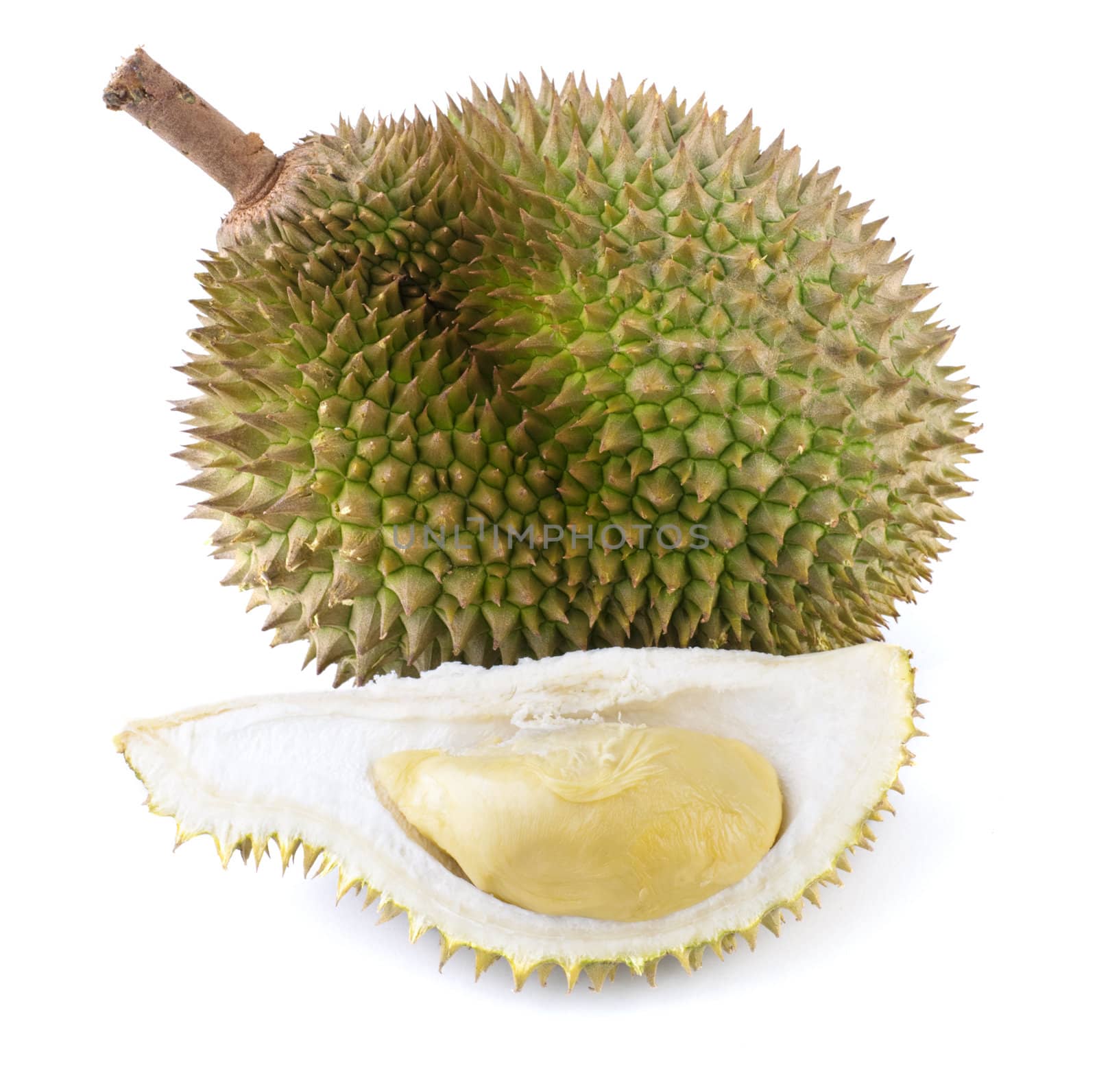 Tropical fruit - Durian isolated on white background.