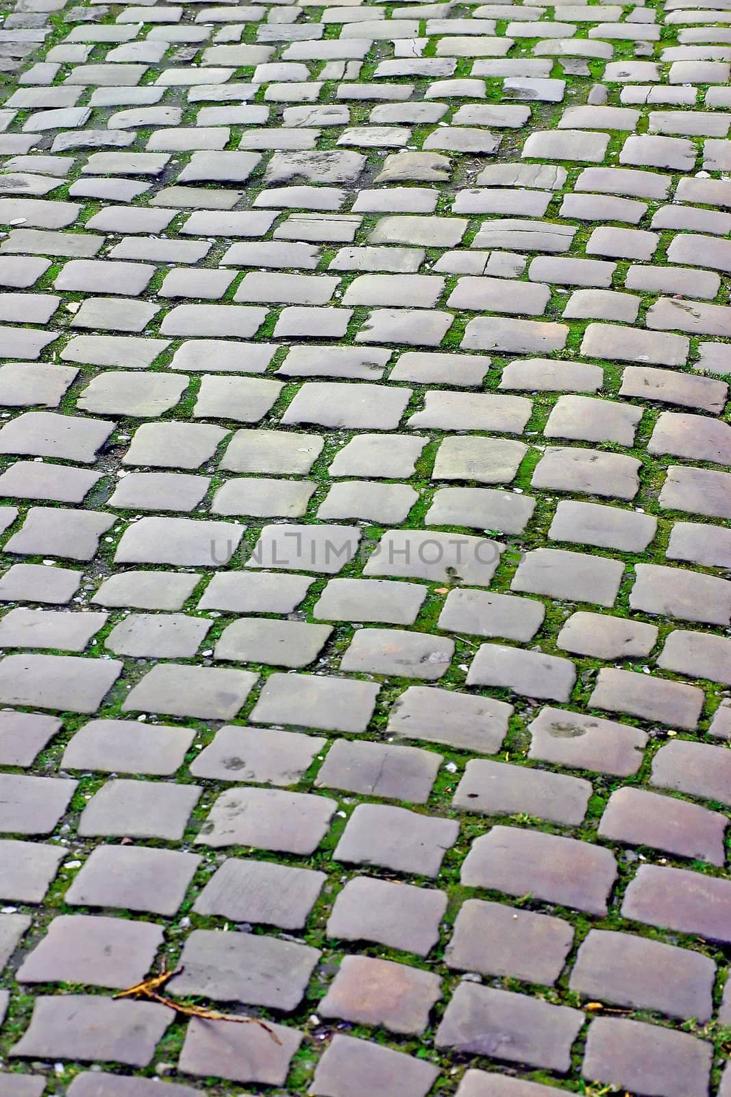 Cobbles by green308