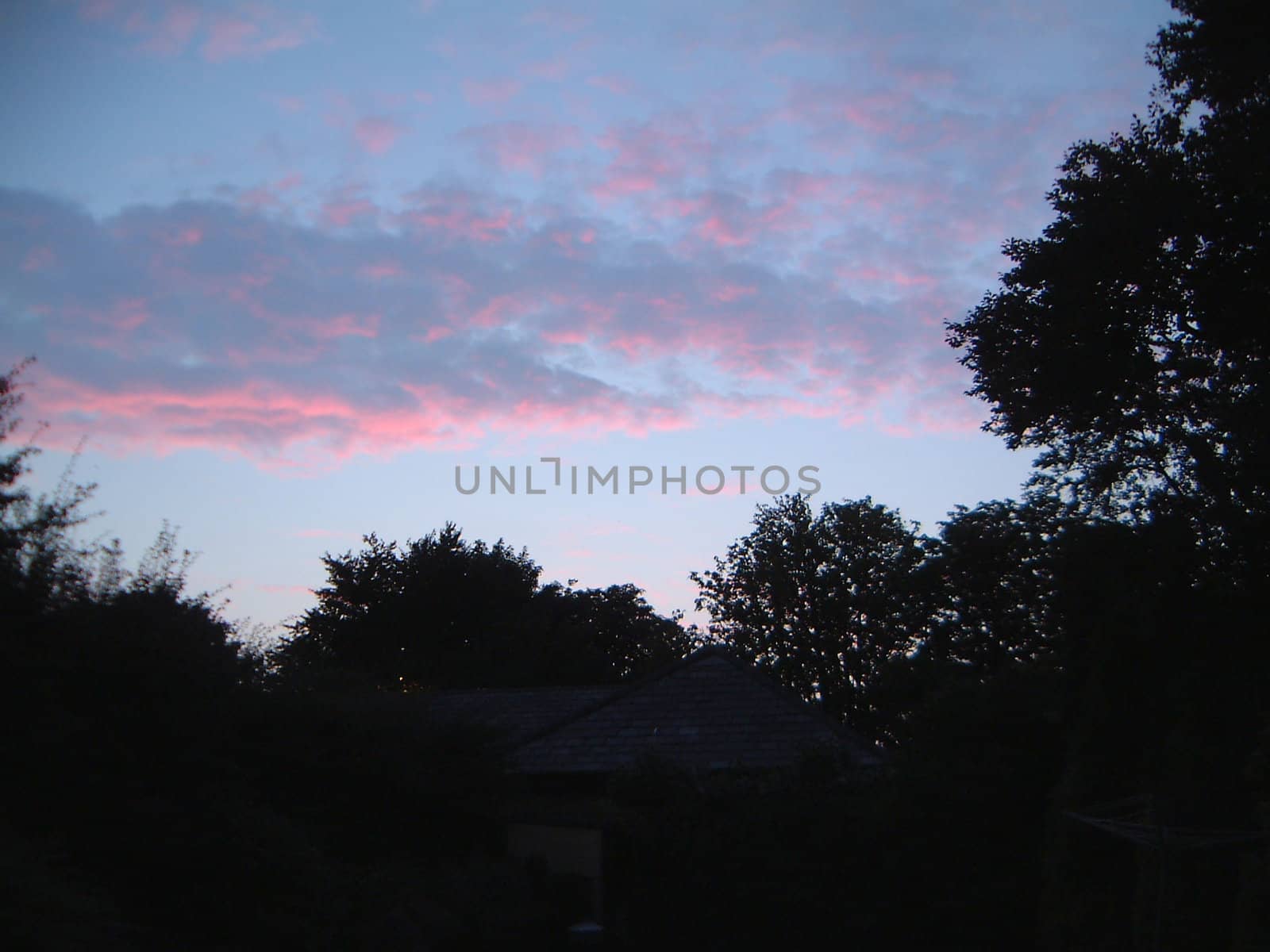 Colorful sunset above trees in northern england