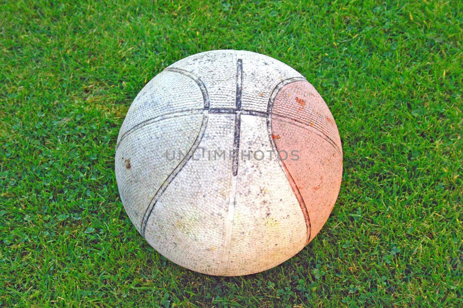 Dirty Basketball on Grass