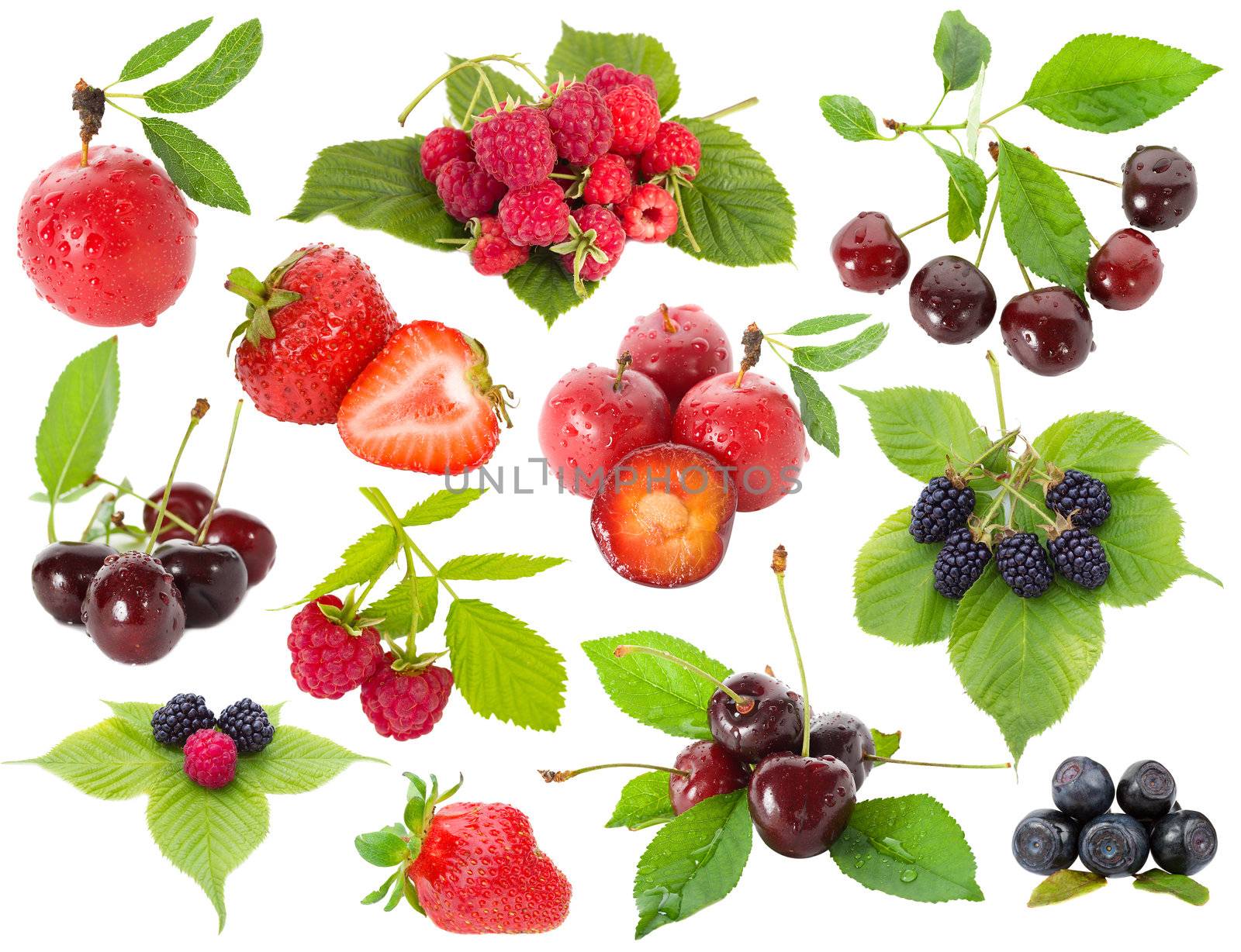 collection of berries by Alekcey