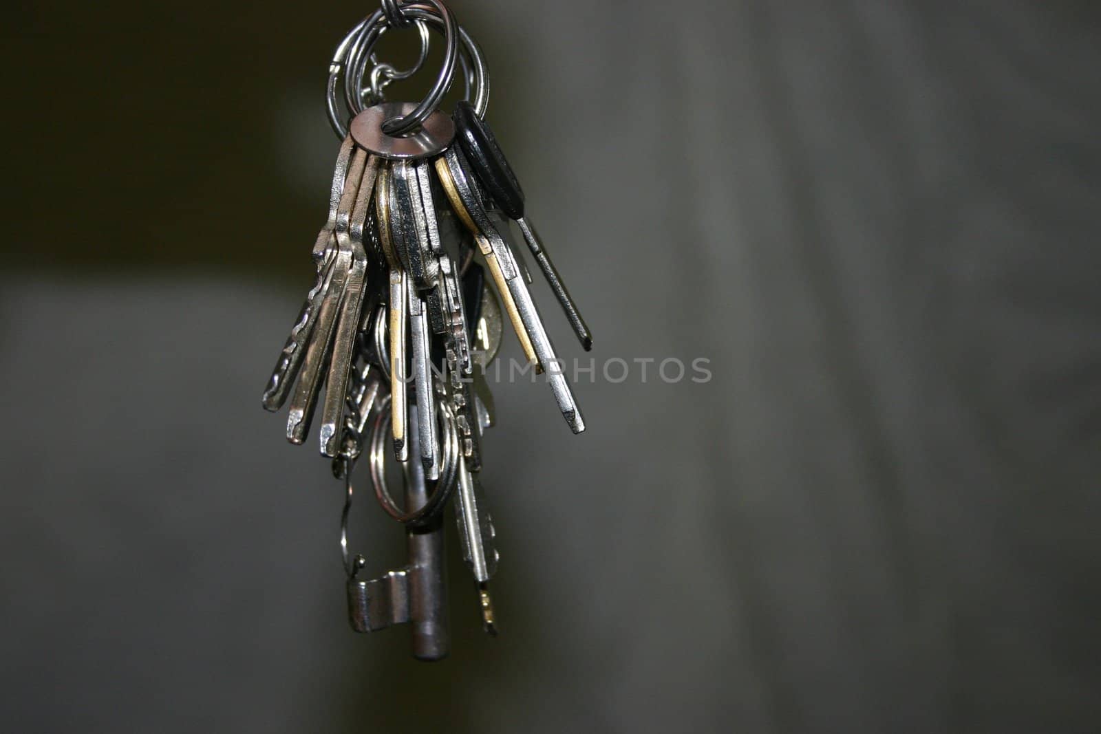 Keys for the home