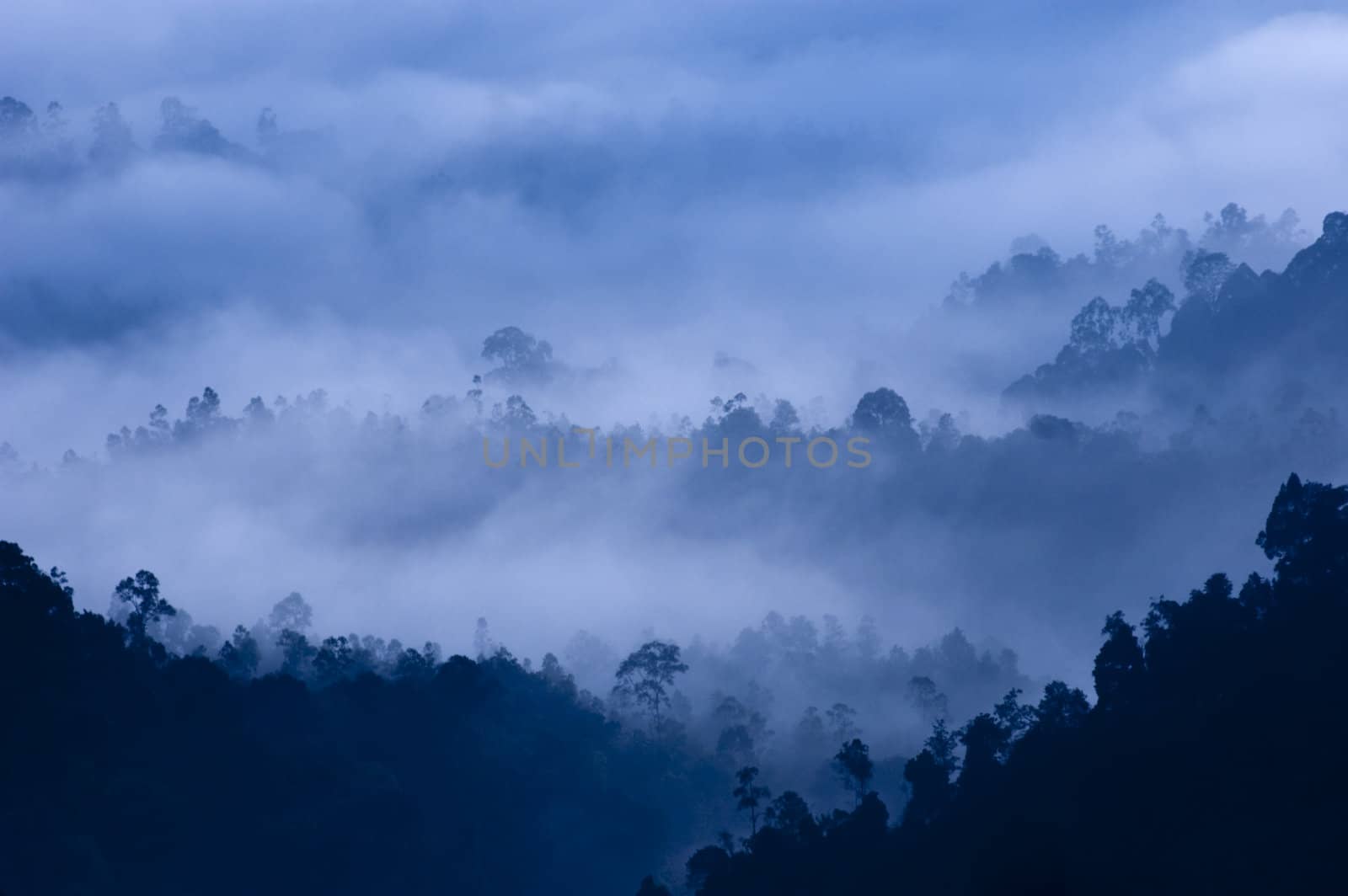 Morning Mist at Tropical Mountain Range, Malaysia.
