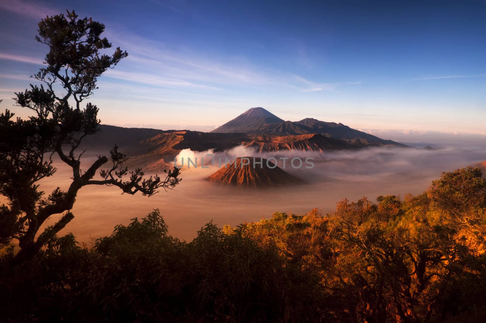 Mount Bromo volcanoes taken in Tengger Caldera, East Java, Indonesia. 