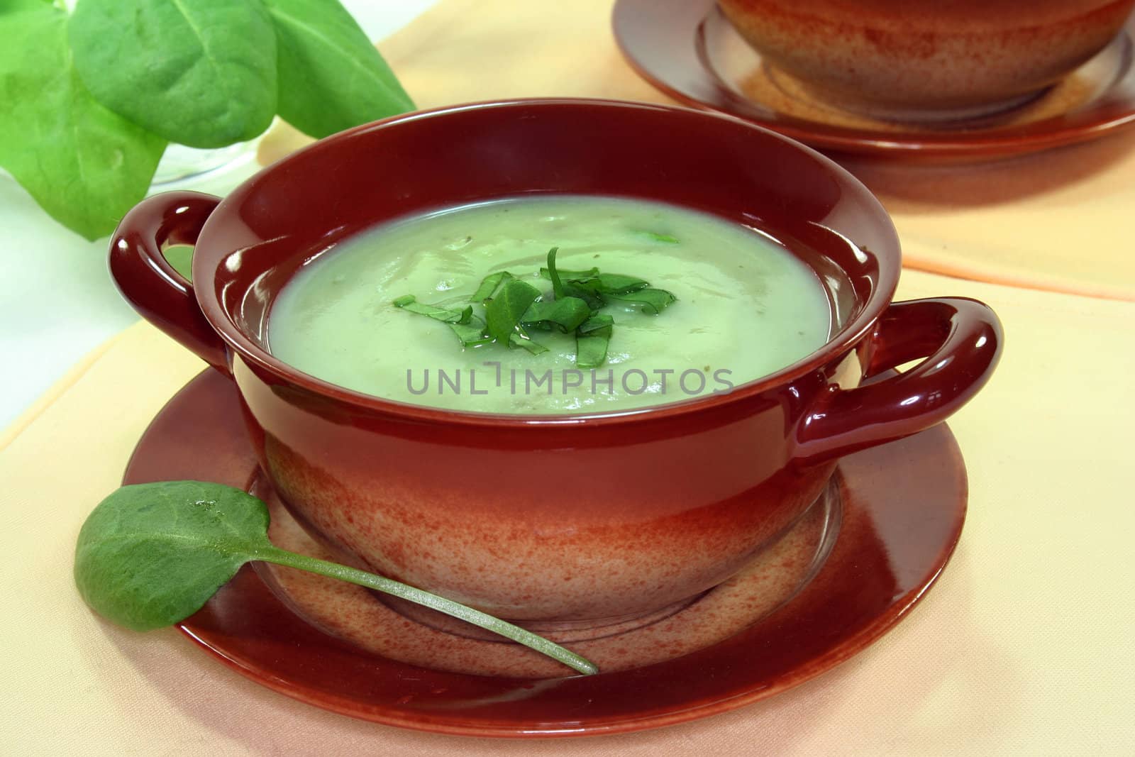 Herb Soup by silencefoto
