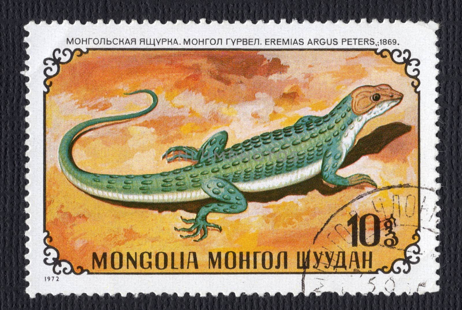 Eremius Argus Lizard on a Mongolian Postage Stamp isolated on black
