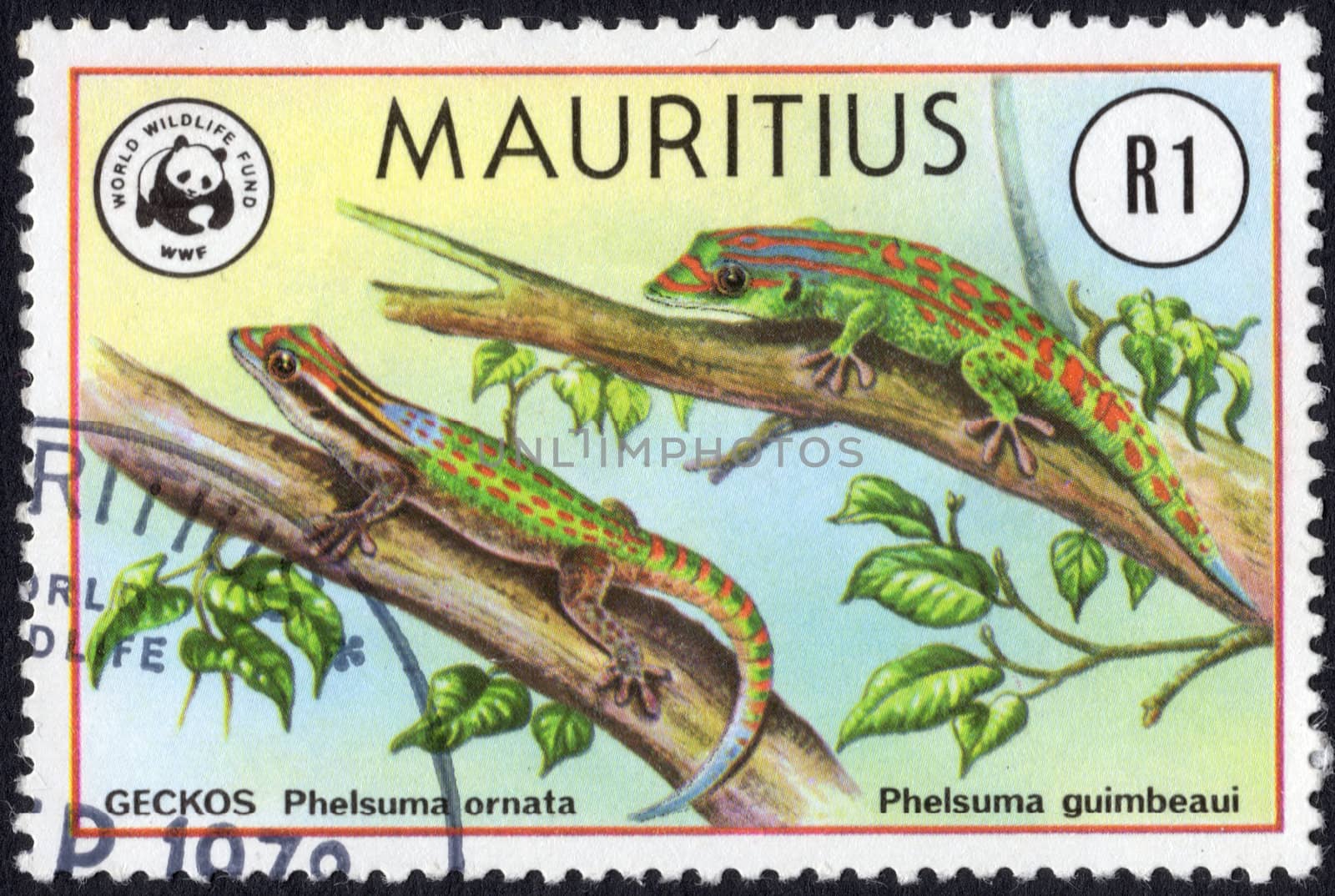 A Postage Stamp from Mauritius showing an Ornate Day Gecko (Phelsuma Ornata) and an Orange spotted day gecko(Phelsuma guimbeaui)