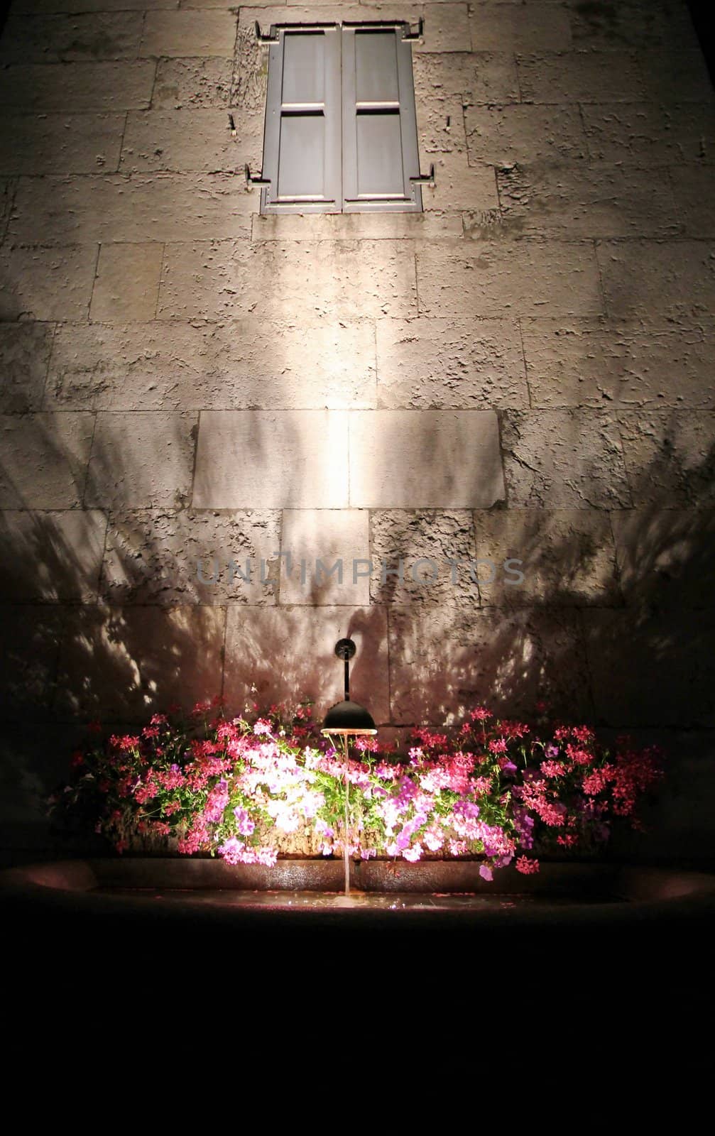 Fountain with red flowers in front of a wall with a window closed by shutters by night