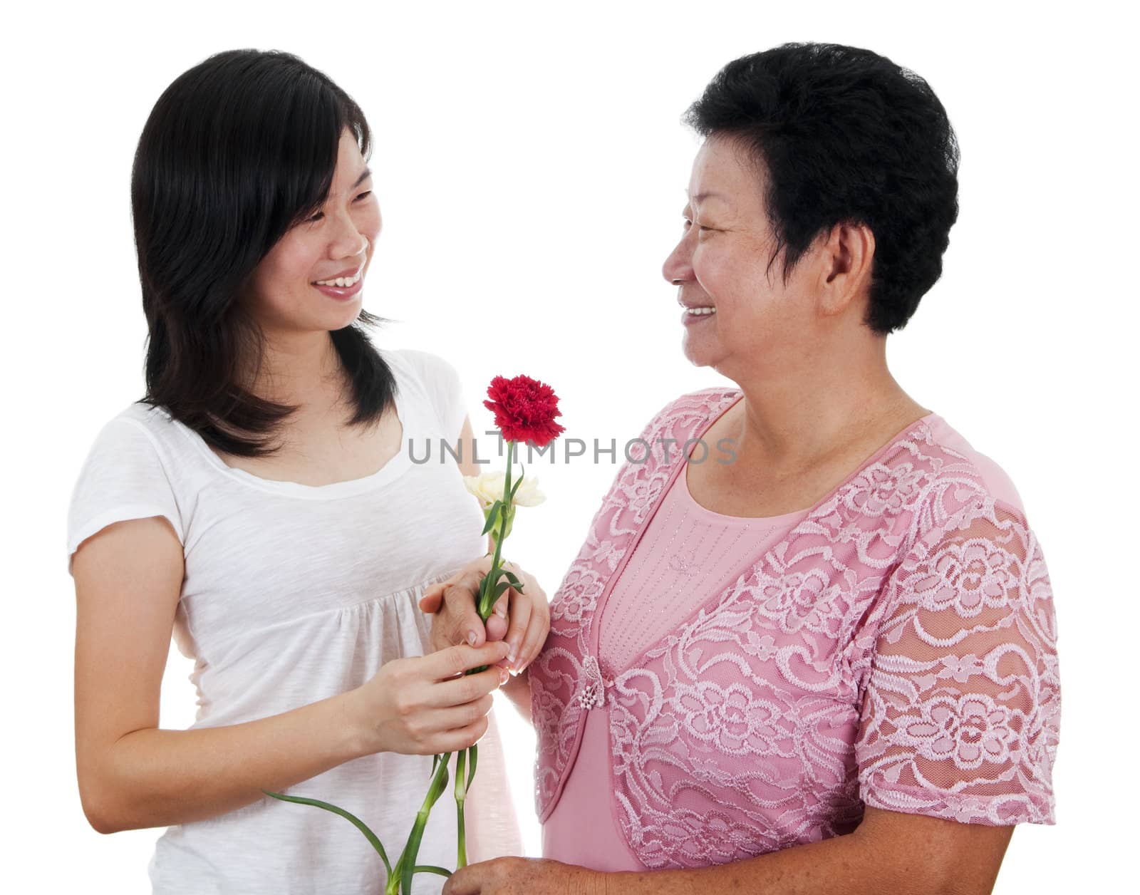 Daughter giving carnation flowers to her mother.