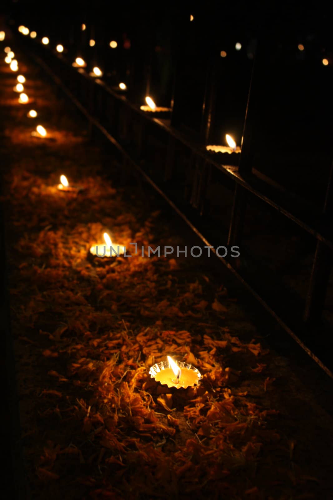 Beautiful Diwali lamps arranged traditionally with flower petals.