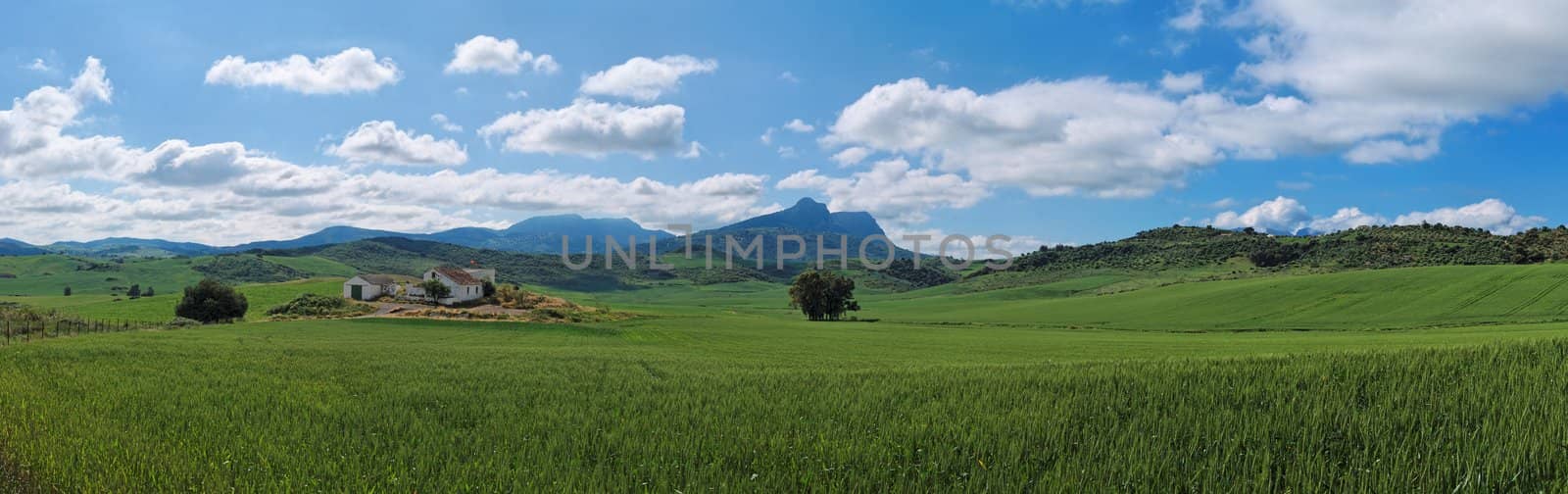 Rural Andalucian landscape 
