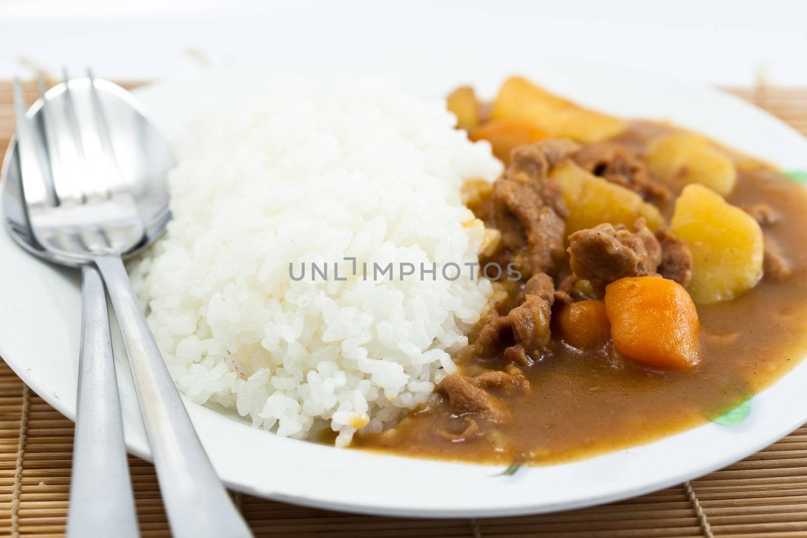 close up Curry pork with rice