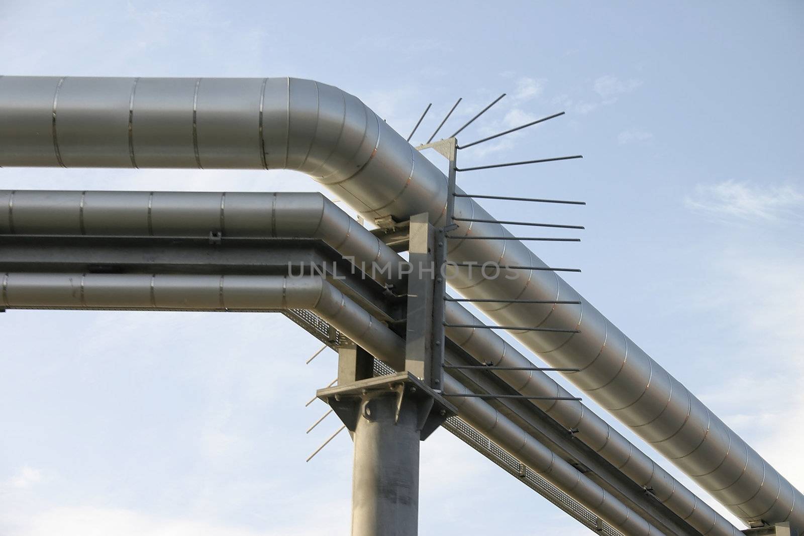 Stainless Teel Pipes with Climb Protection