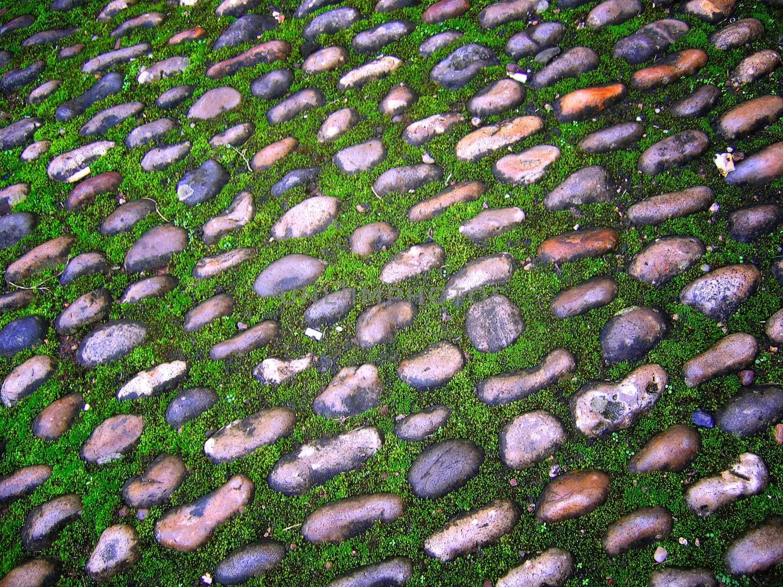 Cobbled Lane with Moss