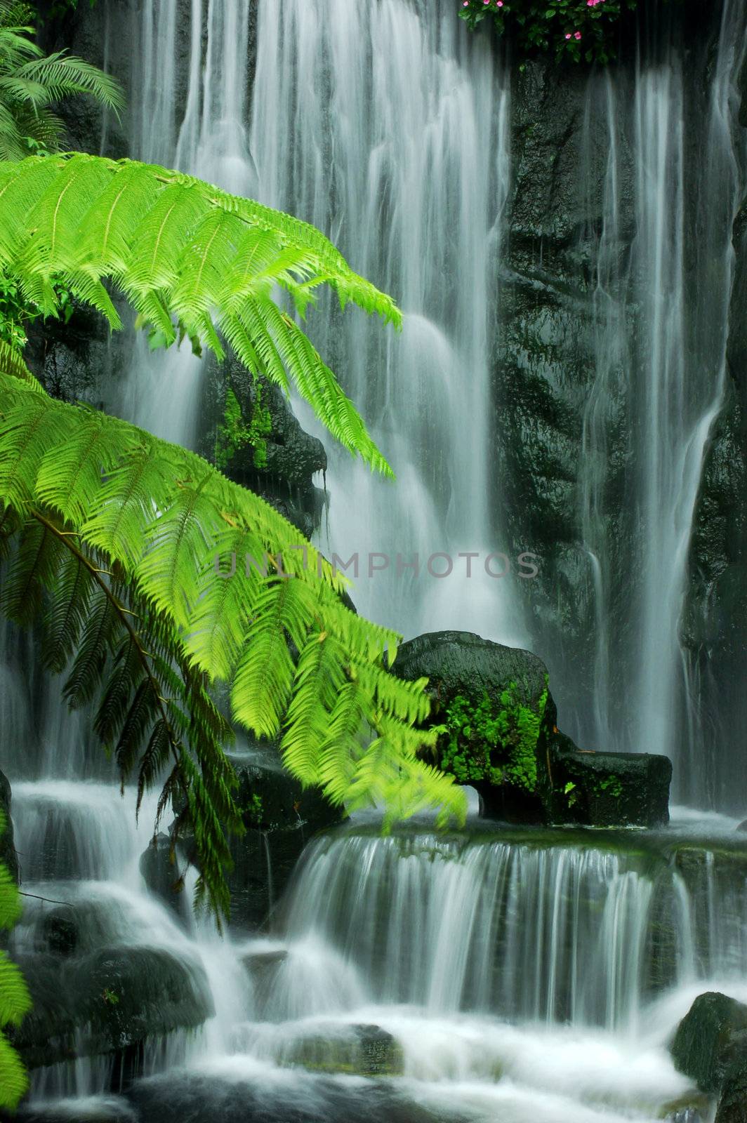 Japanese Zen Garden Waterfalls in slow shutter.
