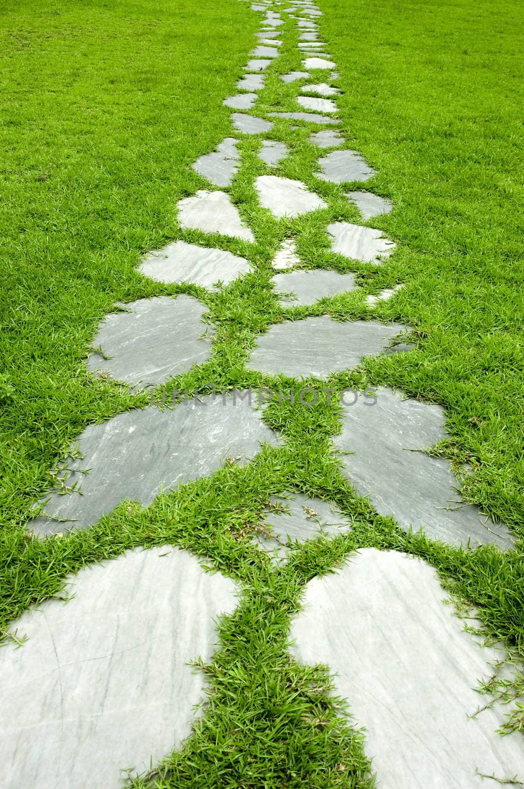 Garden stone path with grass growing up between the stones 
