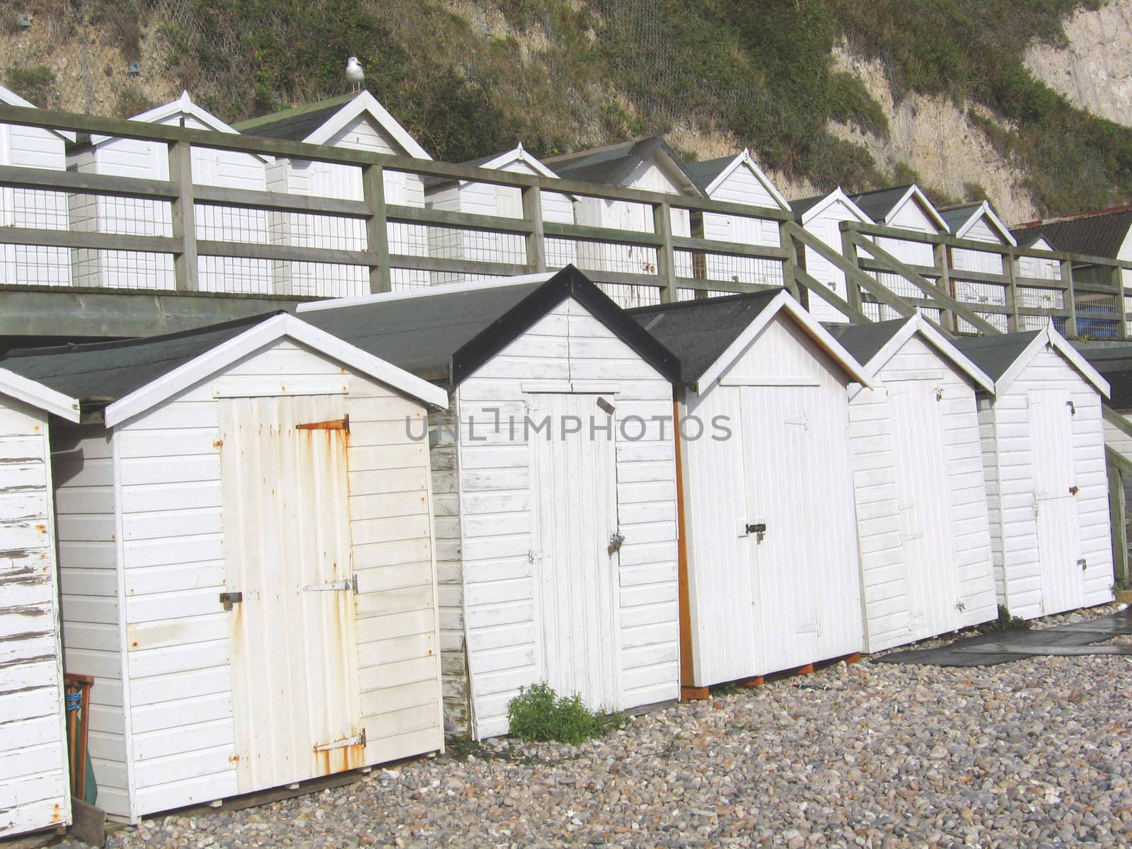 White Beach Huts on the Devon Coast by green308