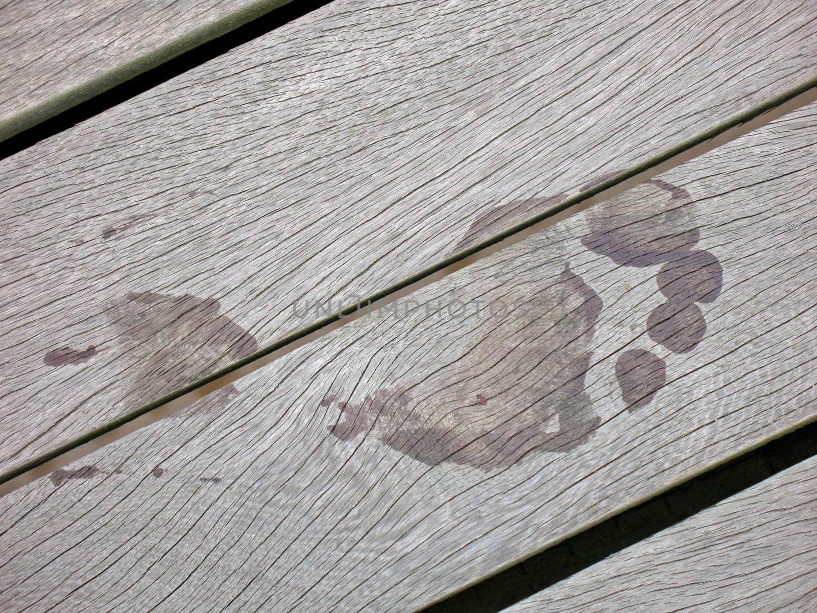Wet Footprint on Wooden Boards of Pier by green308
