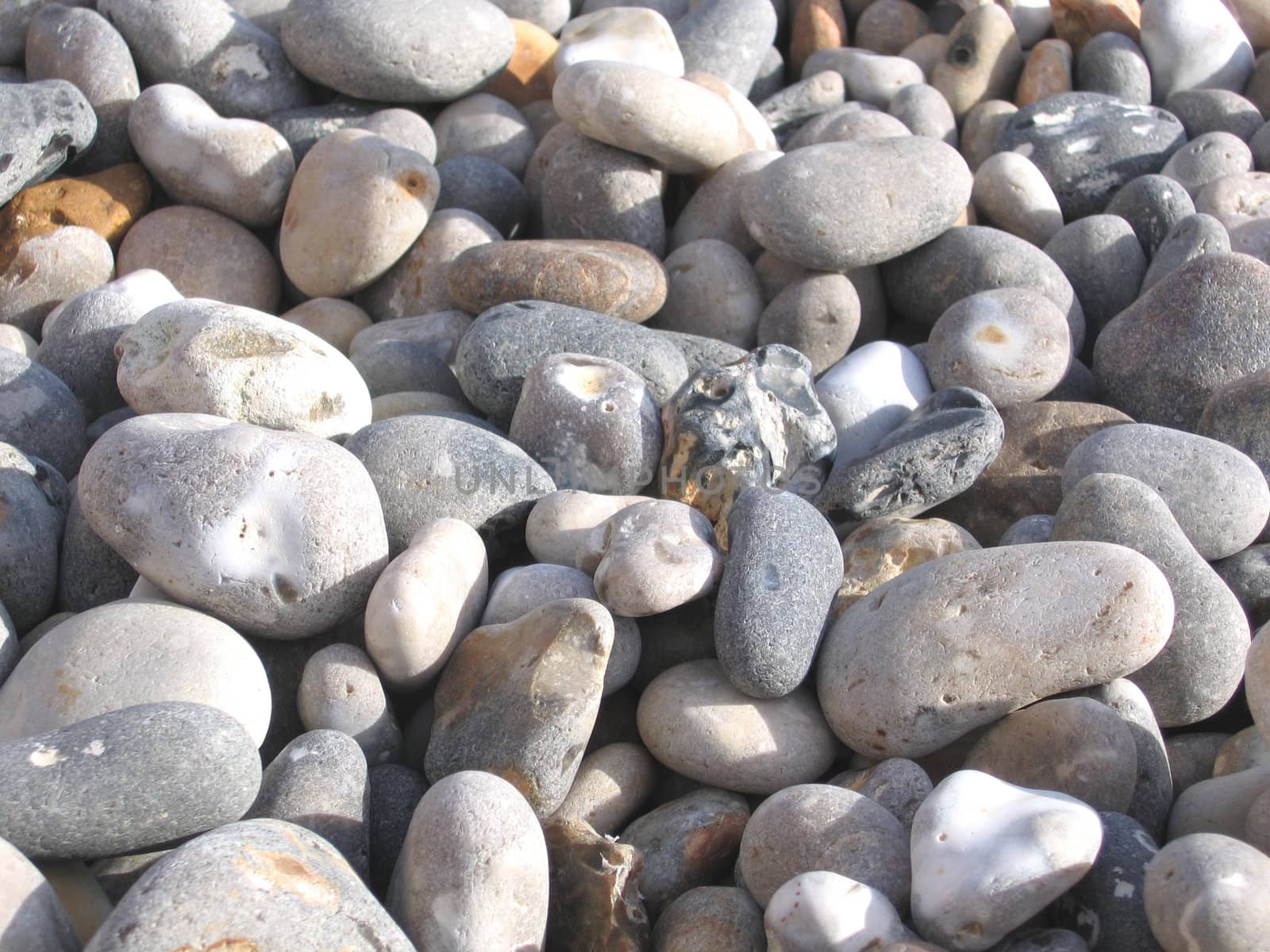 Pebbles on a South Devon Beach in England which is Famous for being the Jurassic Coast