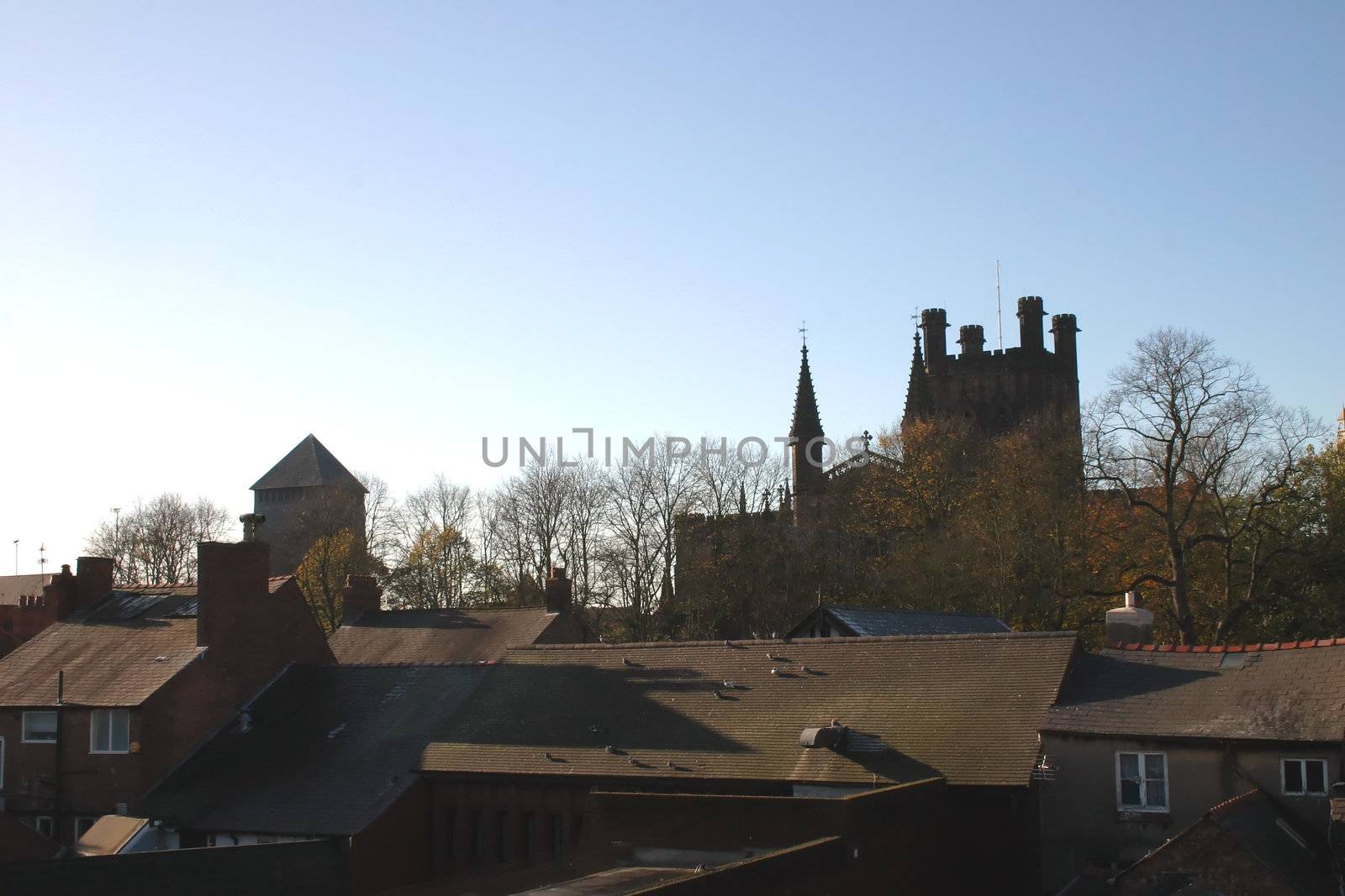 Chester Cathedral and Roofs