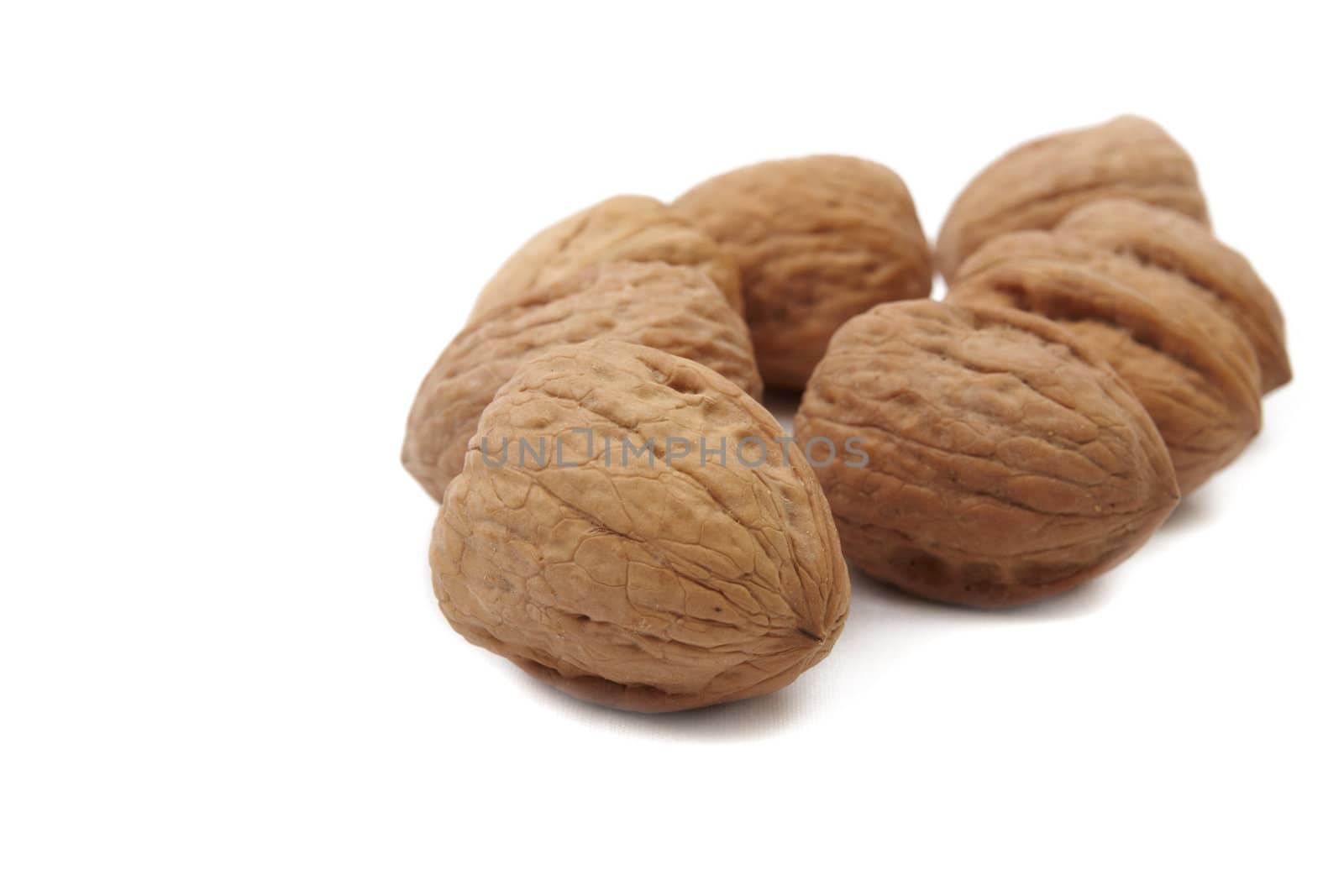 Walnuts on white background. Close up image